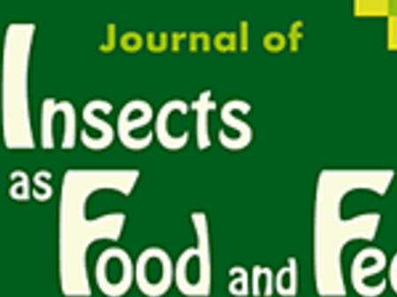 Publication on opportunities for the development of an edible insect food industry in Latin America, Photo: SEPT